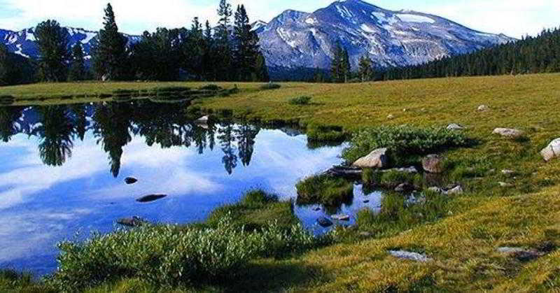 Western Del Patterson